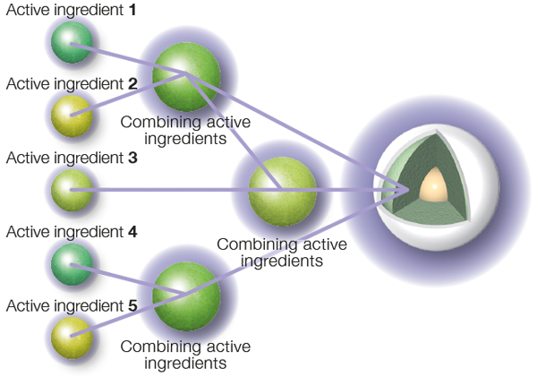 Activa-product-assembly-protocol-plus-grand
