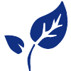 innovation-plantes