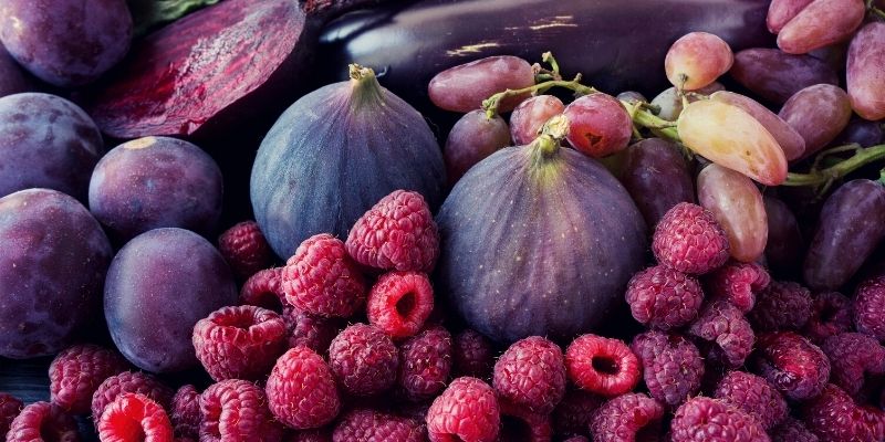 ACTIVA _Power-of-Polyphenols