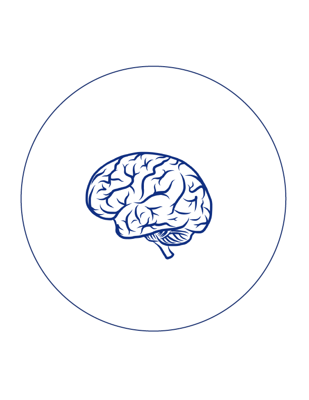Brain