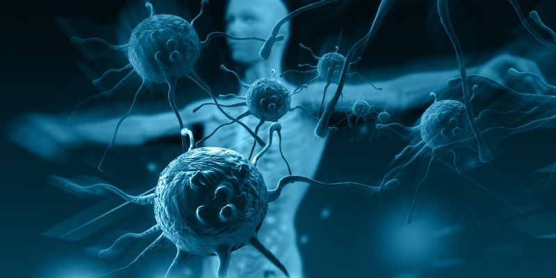 ACTIVA Article List 800 400 Blog-Immunity 101 by Activa