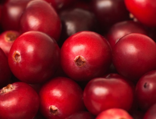 Standardisation of Proanthocyanidins in cranberry extracts, the durable solution for Urinary Tract Infections