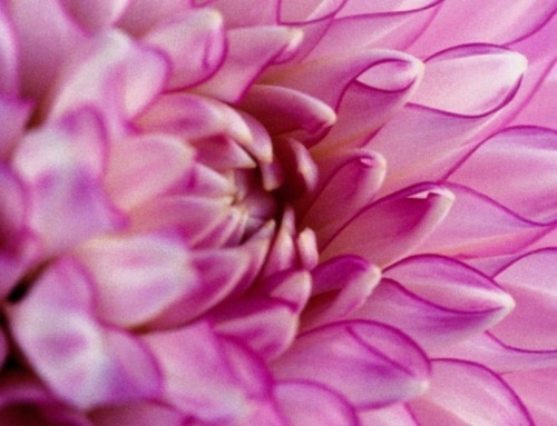 Experiencing Well-Being during Menopause is now possible with Activa