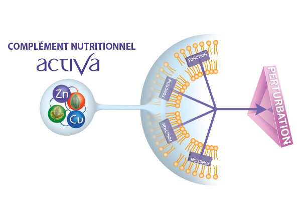 complement-nutritionnel-perturbation