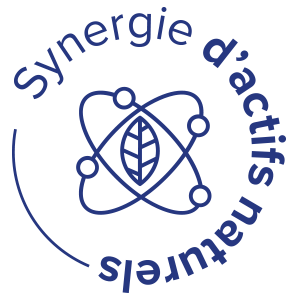 FR-Synergie-actifs-bleu