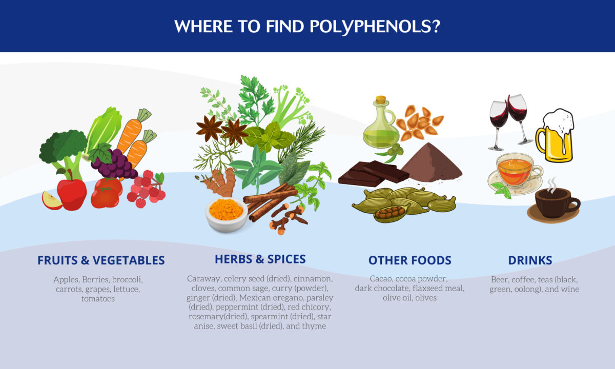 The Power of Polyphenols - Laboratoires Activa