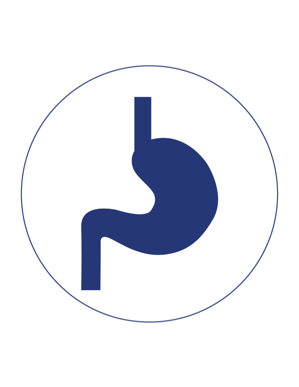 Digestion Digestion